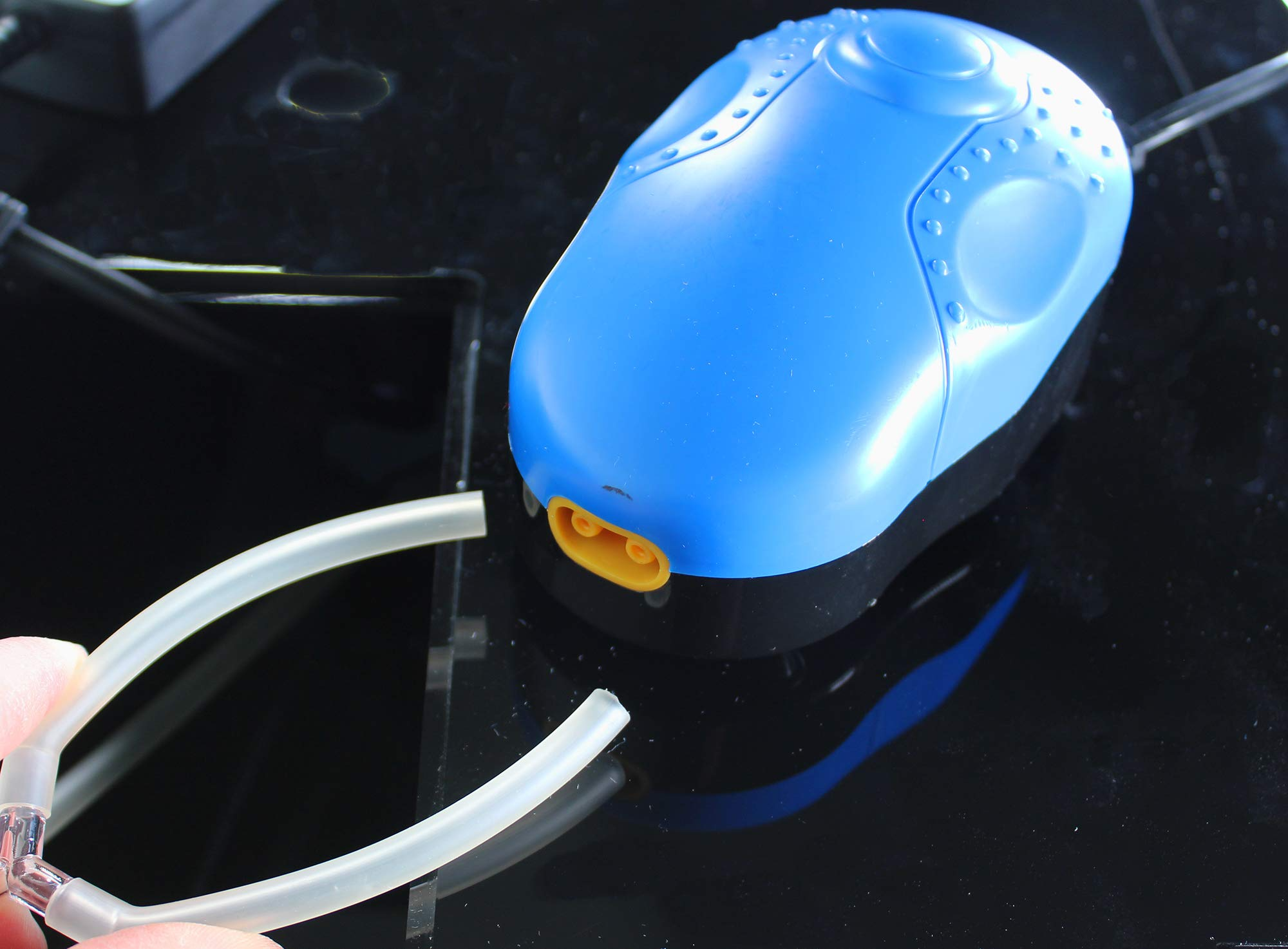 Water World Luxury Large Bow Front Acrylic Aquarium with Built-in Stand & Storage Top - 360° View