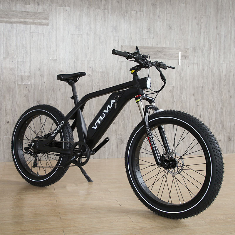 VTUVIA/26*4.0 750W 1000W big power Fat tire electric Mountain E bike/Snow bike/electric bicycle with CE